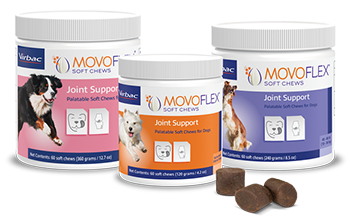 Movoflex chewy sales